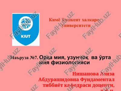 orqa miya, uzunchoq va o'rta miya fiziologiyasi — PPT