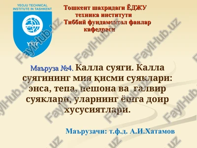 kalla suyagi — PPT