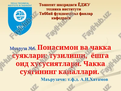 ma'ruza №6.ponasimon va chakka suyaklari — PPT