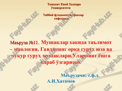ma'ruza №11.mushaklar xakida ta'limot – miologiya — PPT