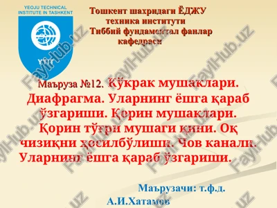 ko'krak mushaklari — PPT