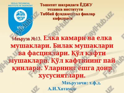 elka kamari va elka mushaklari — PPT