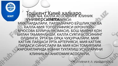 tema №4. kallaasosiningklinikanatomiyasi — PPTX