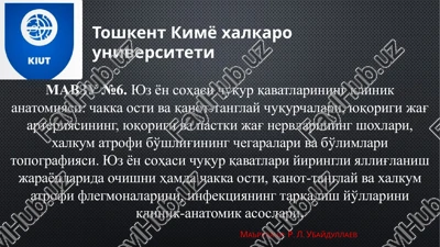 yuzyonsohasi chuqurqavatlarining klinik anatomiyasi — PPTX