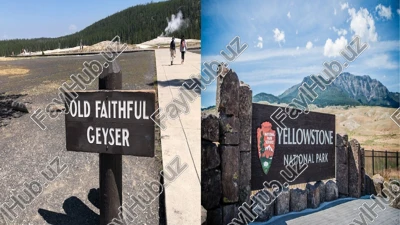 yellowstone milliy bog'i — PPTX