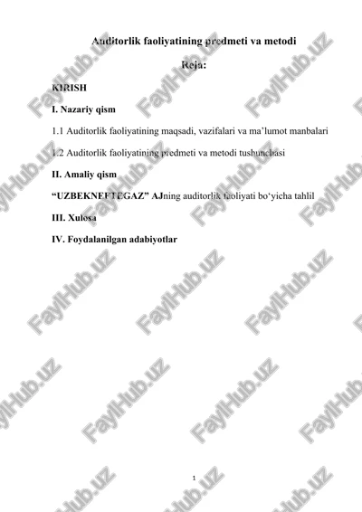 auditorlik faoliyatining predmeti va metodi — DOCX