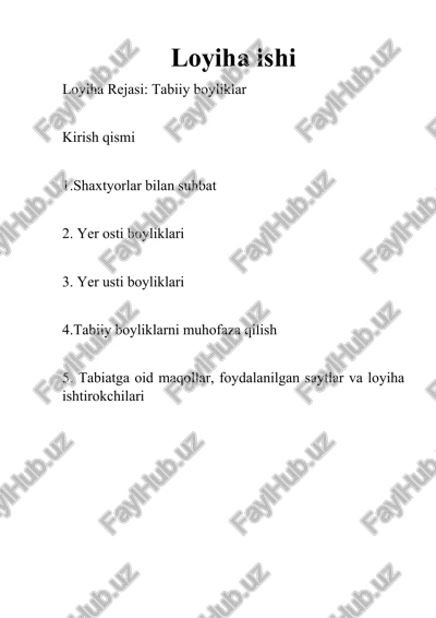 tabiiy boyliklar loyixa ishi — DOCX