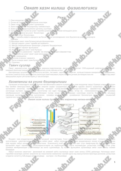 ovkat xazm kilish fiziologiyasi — DOC