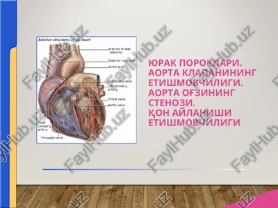 aorta klapanining etishmovchiligi — PPT