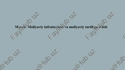 moliyaviy infratuzilma va moliyaviy tartibga solish — PPTX