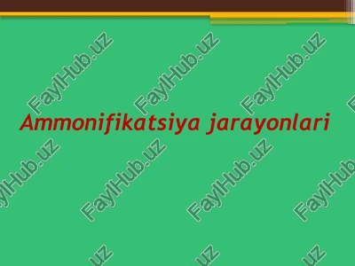 ammonifikatsiyajarayonlari — PPTX