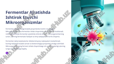 fermentlar ajratishda ishtirok etuvchi mikroorganizmlar — PPTX