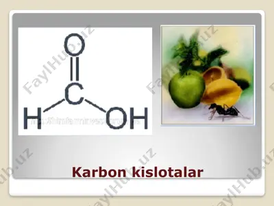 karbon kislotalar 2 — PPTX