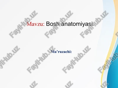 boshanatomiyasi — PPTX