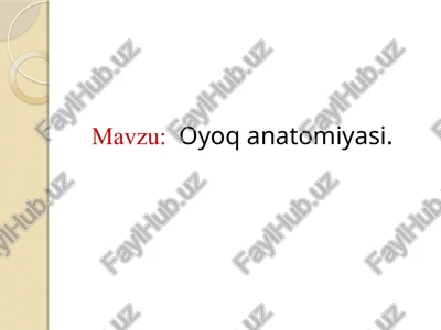 oyoqanatomiyasi — PPTX