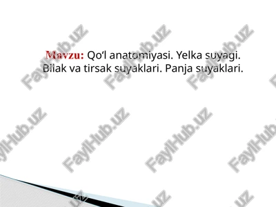 qo‘lanatomiyasi — PPTX