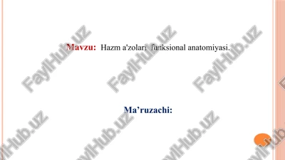 hazma'zolarifunksionalanatomiyasi — PPTX