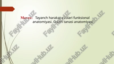 tayanch harakatlar ifunksional anatomiyasi.odam tanasianatomiyasi — PPTX