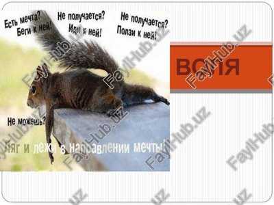 volya — PPTX