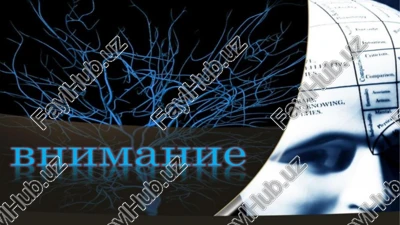 obuumanue — PPTX