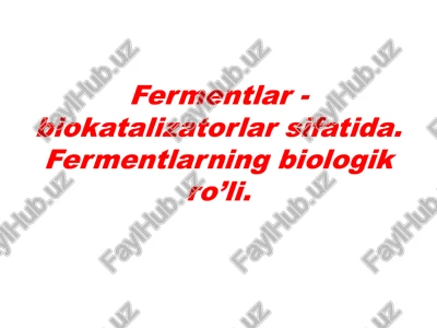 fermentlar — PPTX