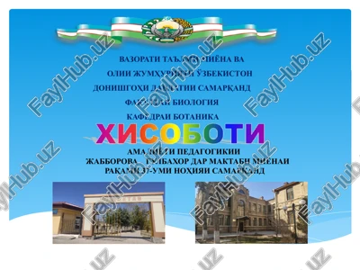 amaliyoti pedagogikii — PPTX