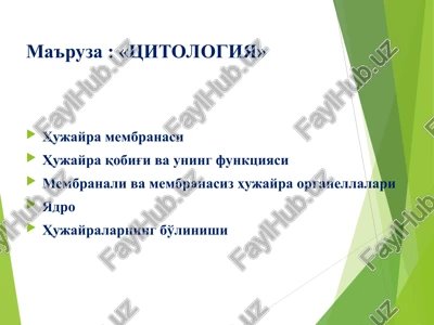 tsitologiya — PPT