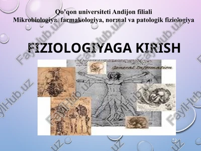 fiziologiyaga kirish — PPTX