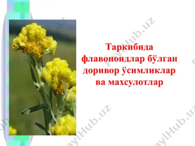 таркибида флавоноидлар бўлган доривор ўсимликлар ва махсулотлар — PPTX