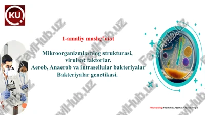 mikroorganizmlarning strukturasi — PPTX