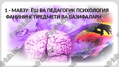 yosh pedagogika psixologiya — PPTX