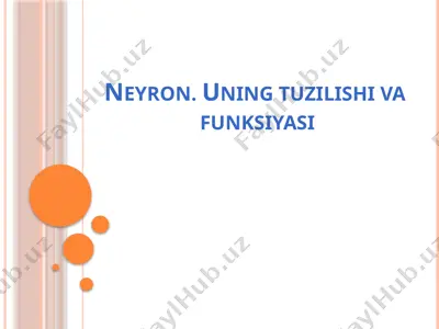 neyron. uning tuzilishi va funksiyasi — PPTX