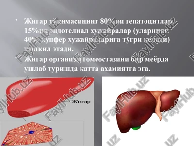 o'tkir jigar yetishmovchiligi — PPTX