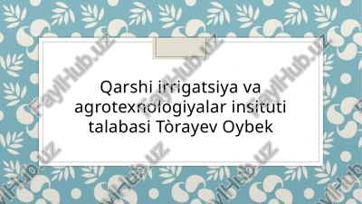 kichik beznis korxonalarini boshqarishni òziga xos xususiyatlari — PPTX