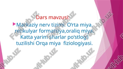 markaziynervtizimi — PPTX