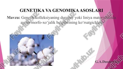 genetika va genomika asoslari — PPTX