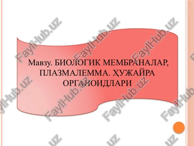 biologik membranalar, plazmalemma. hujayra organoidlari — PPTX