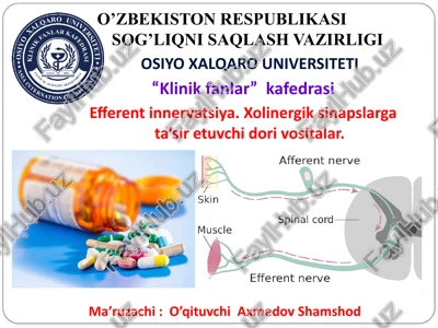efferentinnervatsiya.xolinergiksinapslargata’siretuvchidorivositalar — PPTX