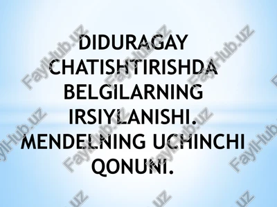 diduragaychatishtirish.mendeininguchinchiqonuni — PPTX