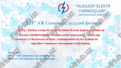 simenar "hududiy elektr tarmoqlari" — PPT