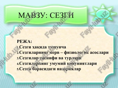sezgi — PPT
