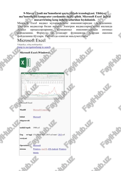 microsoft excel — DOCX