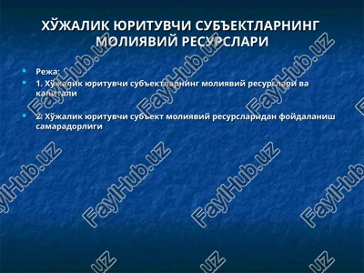 xo'jalik yurituvchi sub'ektlarningmoliyaviy resurslari — PPT