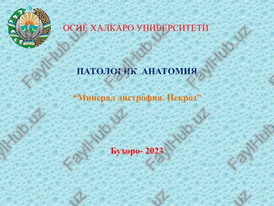 mineralli distrofiyalar — PPT