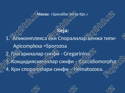 sporalilarkenjatipi — PPTX