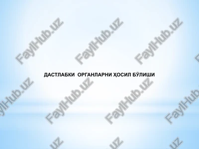 provezor organlar — PPTX