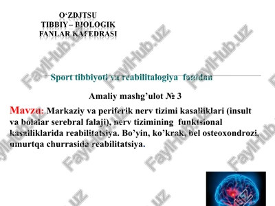 amaliy mashg’ulot№3 — PPT
