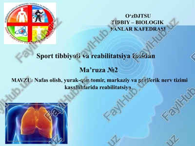 ma’ruza№2 — PPTX