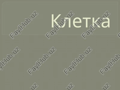 kletka — PPTX