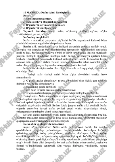 nafas tizimi fiziologiyasi — DOCX